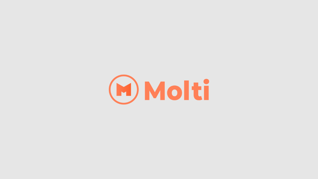 Molti - Webdesign service